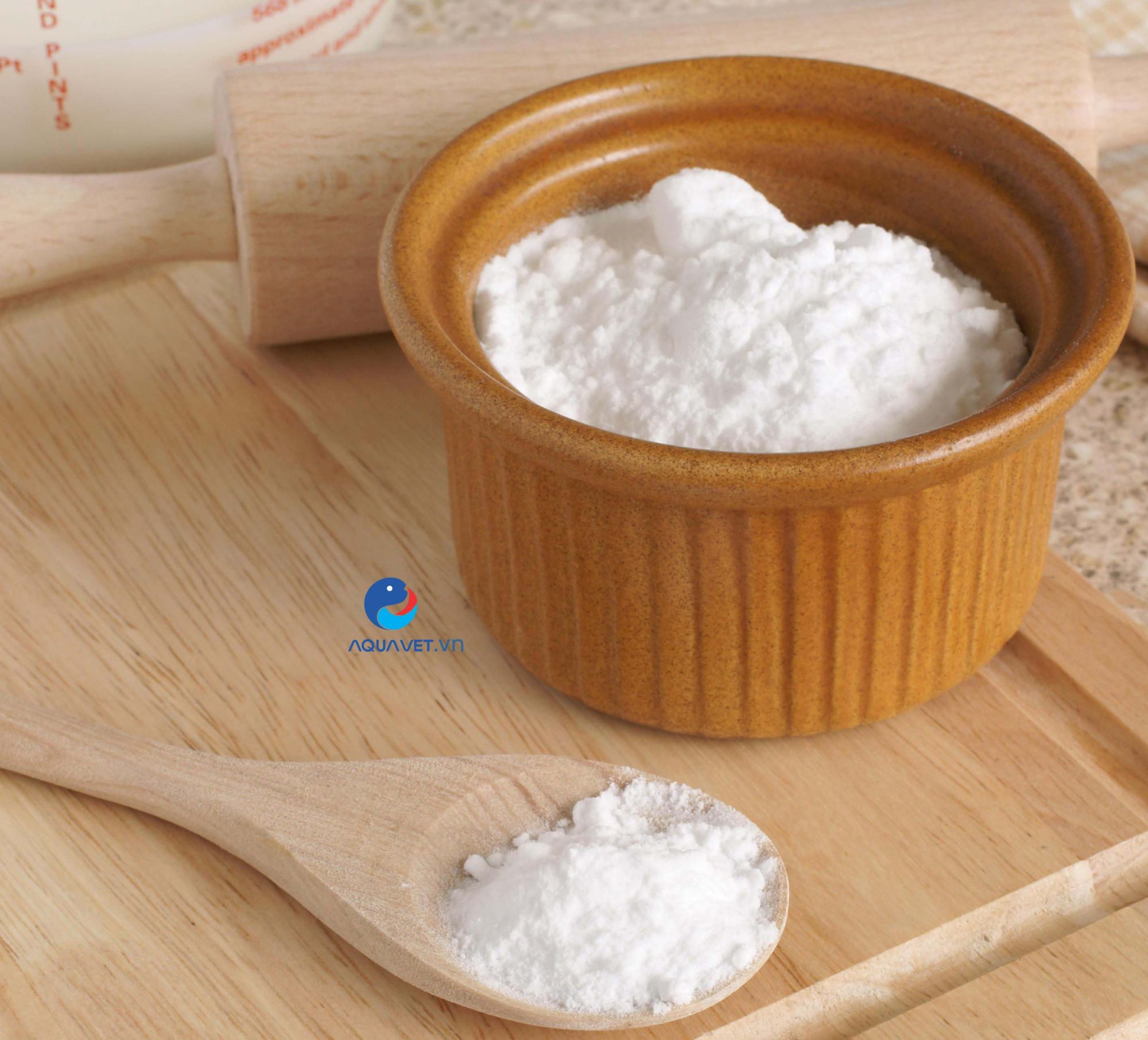 sodium bicarbonate