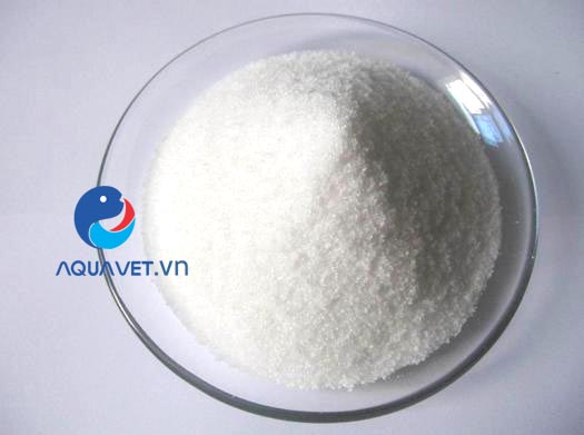 polymer anion