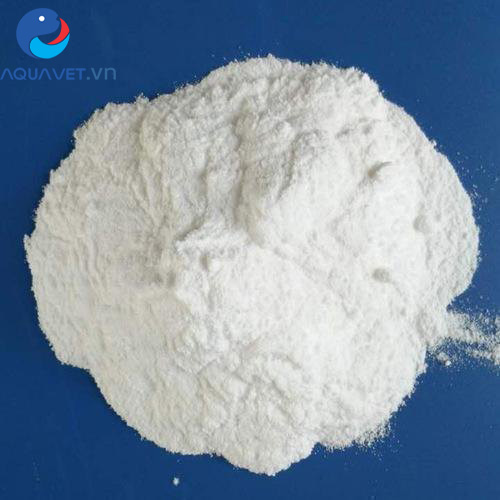 hóa chất TCCA