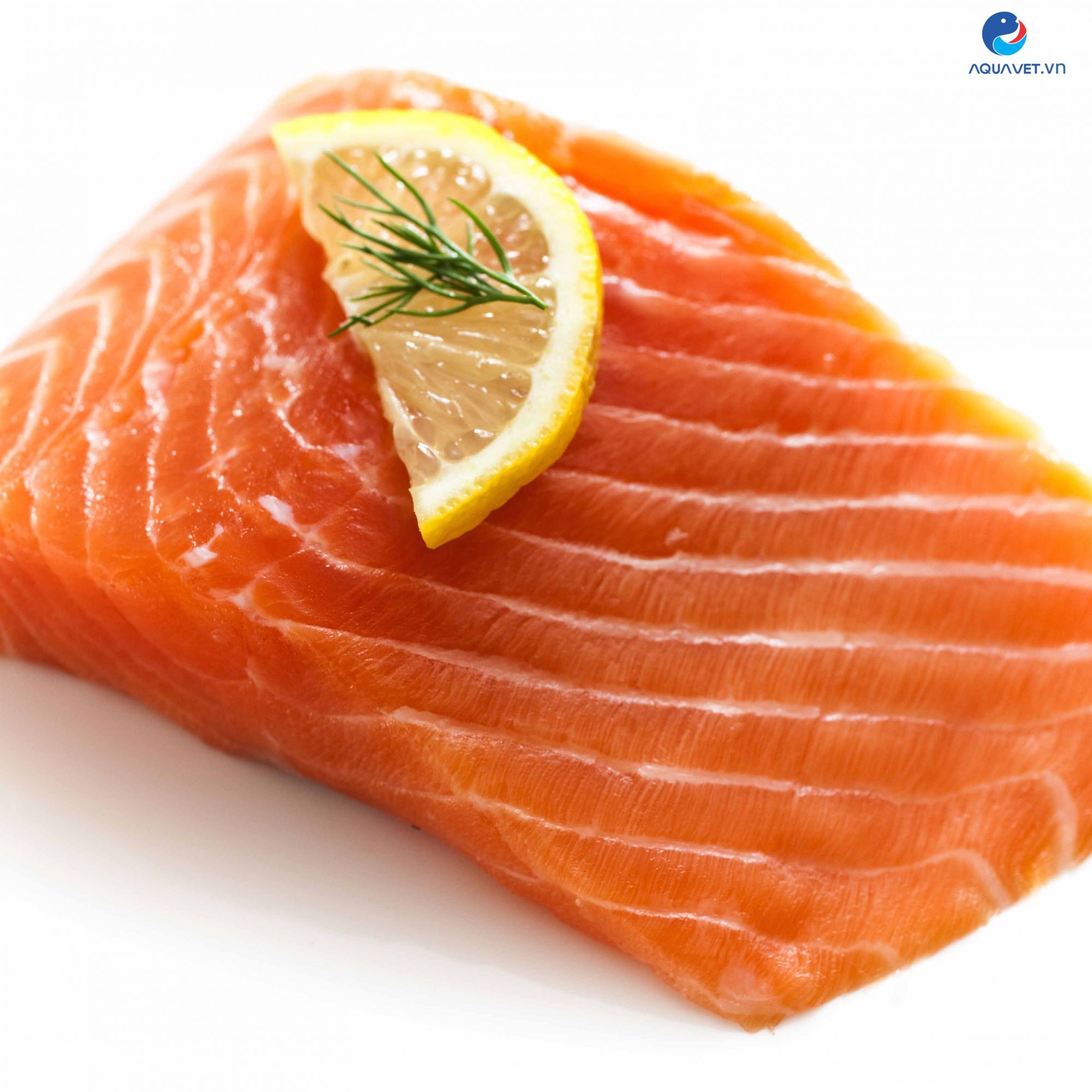 Astaxanthin cho tôm