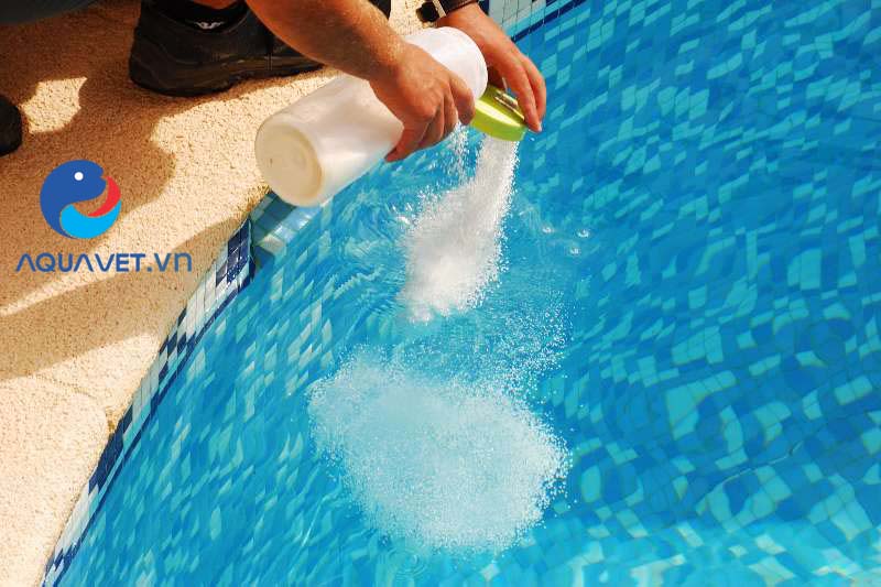 chlorine hồ bơi