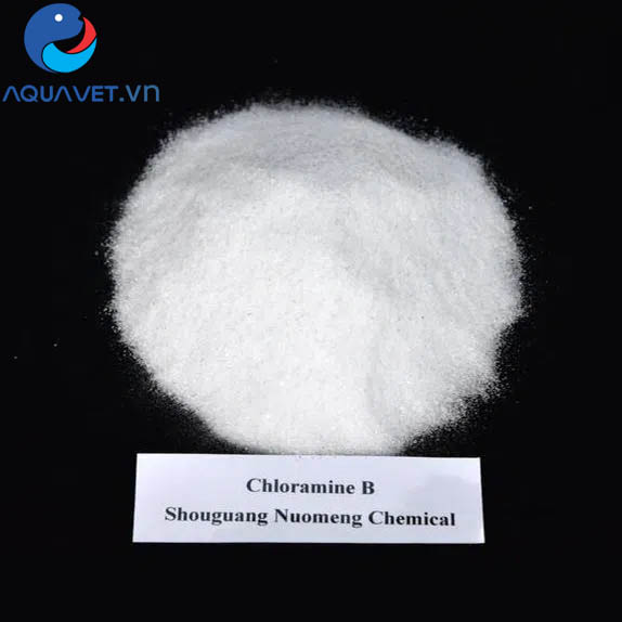 cloramin b