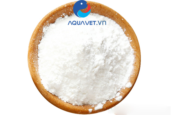 cloramin b