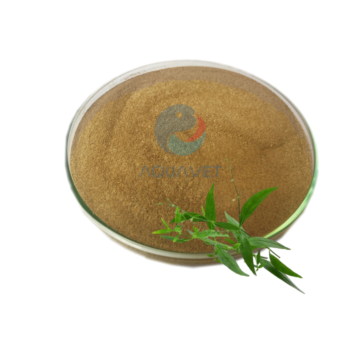 Quy trình sản xuất cao khô xuyên tâm liên