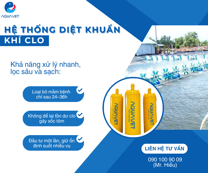 Ứng dụng công nghệ cao với hệ thống diệt khuẩn khí Clo vào nuôi tôm