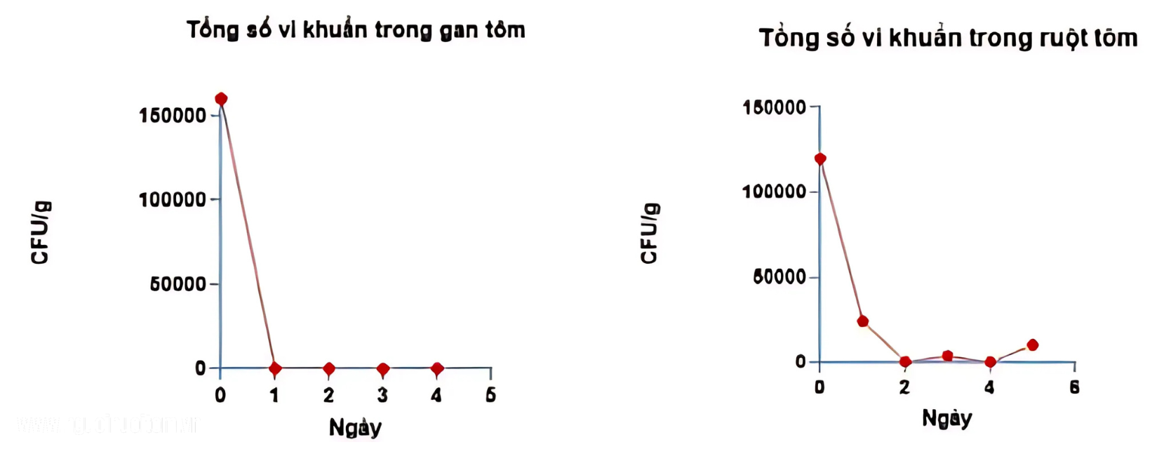 Kết quả thí nghiệm 2
