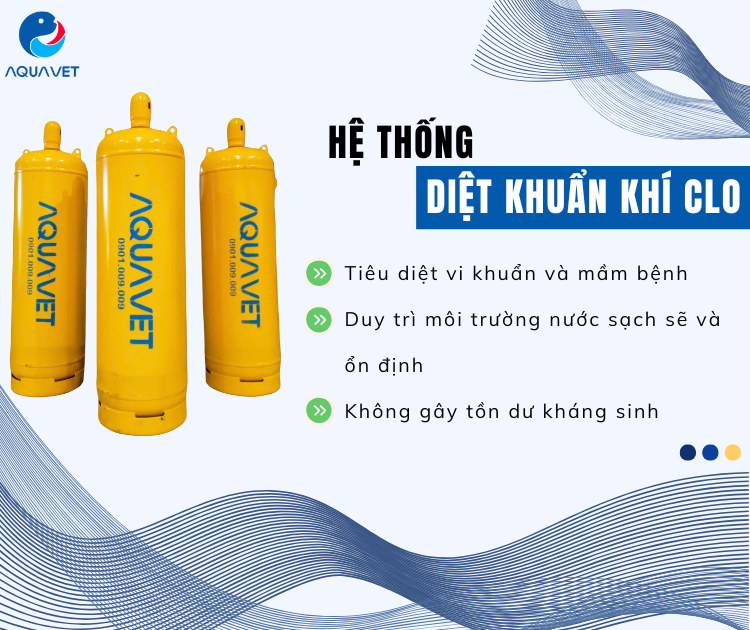 Ứng dụng hệ thống diệt khuẩn khí Clo của Aquavet