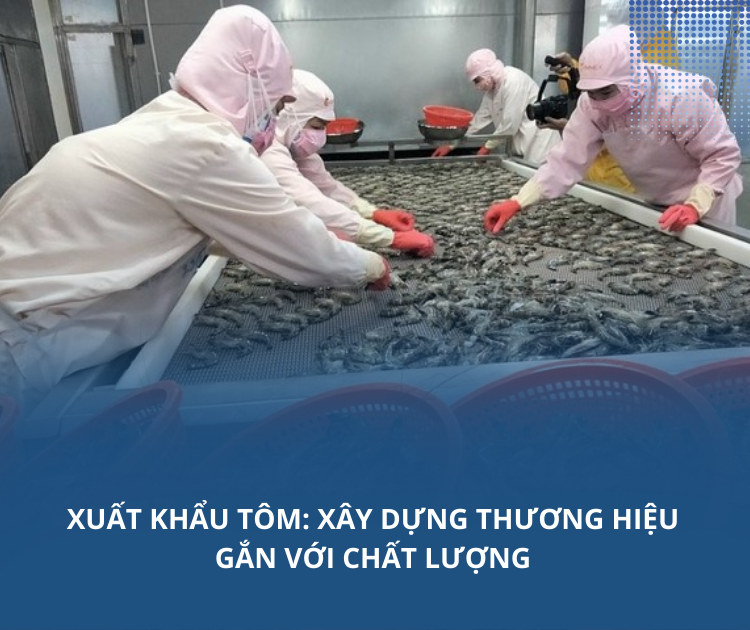 Xuất khẩu tôm: Xây dựng thương hiệu gắn với chất lượng