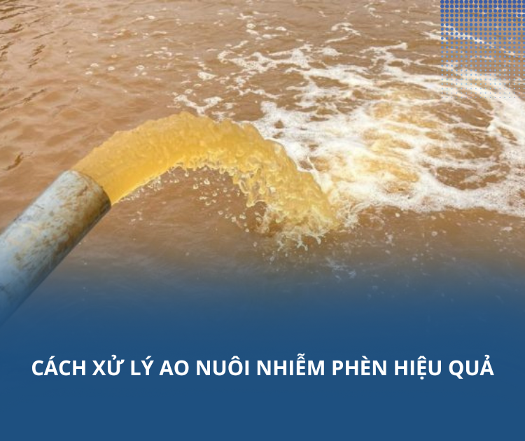 Cách xử lý ao nuôi nhiễm phèn hiệu quả