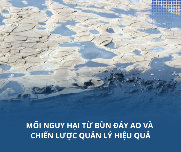 Mối nguy hại từ bùn đáy ao và chiến lược quản lý hiệu quả