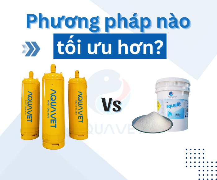 So sánh hệ thống diệt khuẩn khí Clo và bột Clo