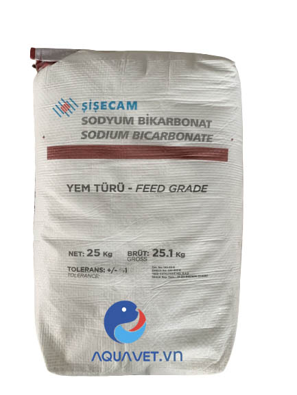 Sodium Bicarbonate Sisecam