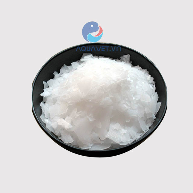 Magie Clorua - MgCl2