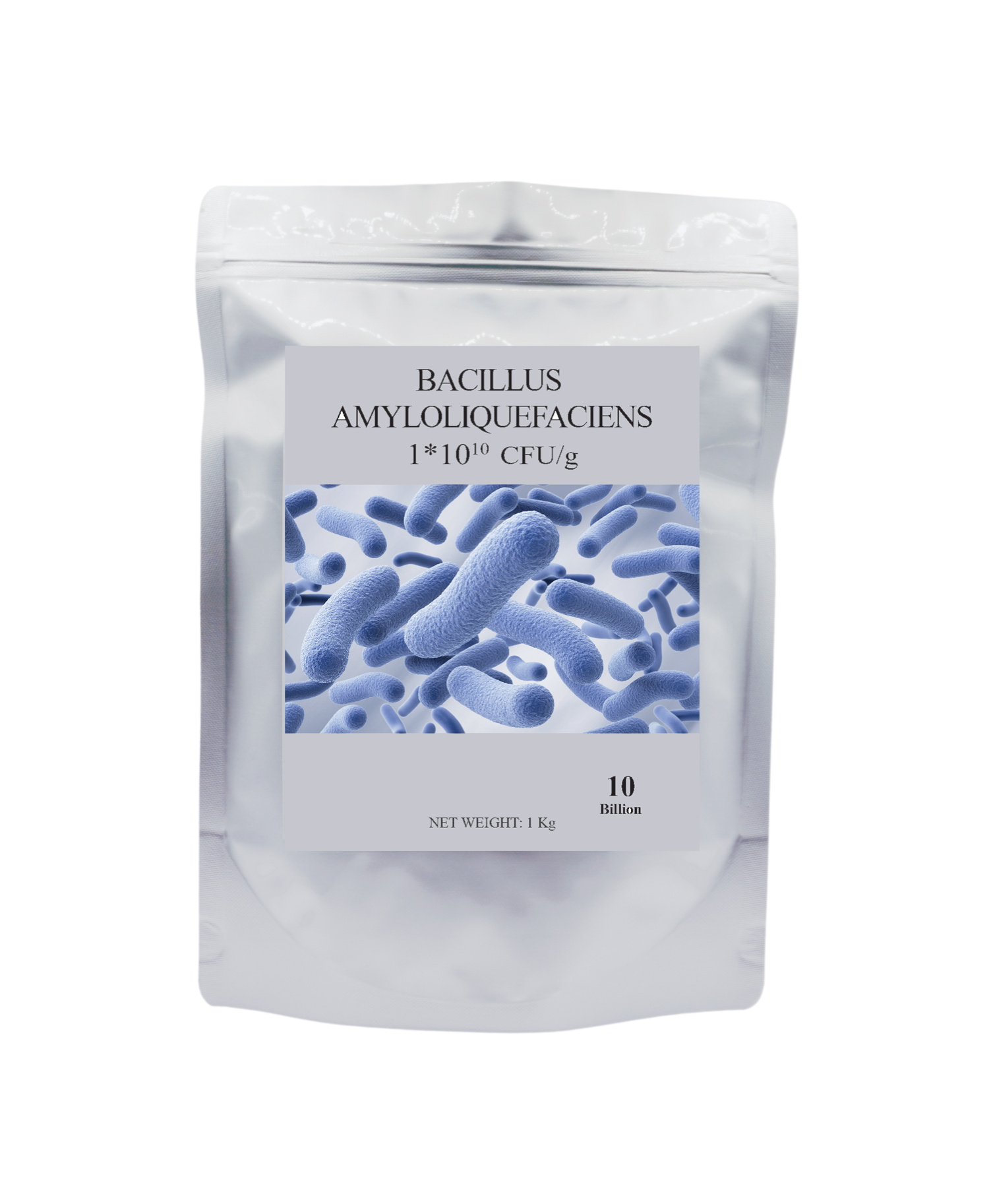 Bacillus amyloliquefaciens