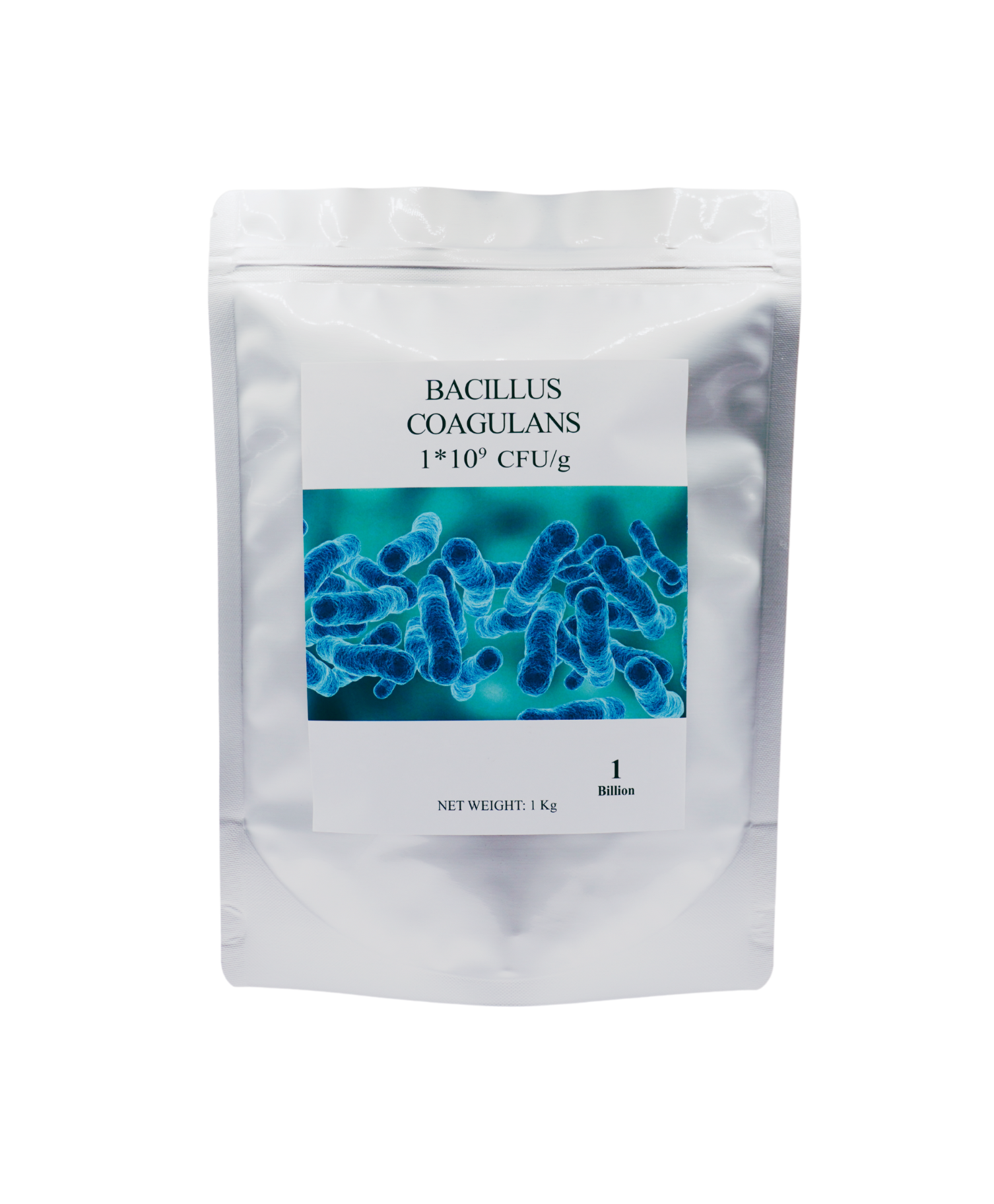 Bacillus Coagulans