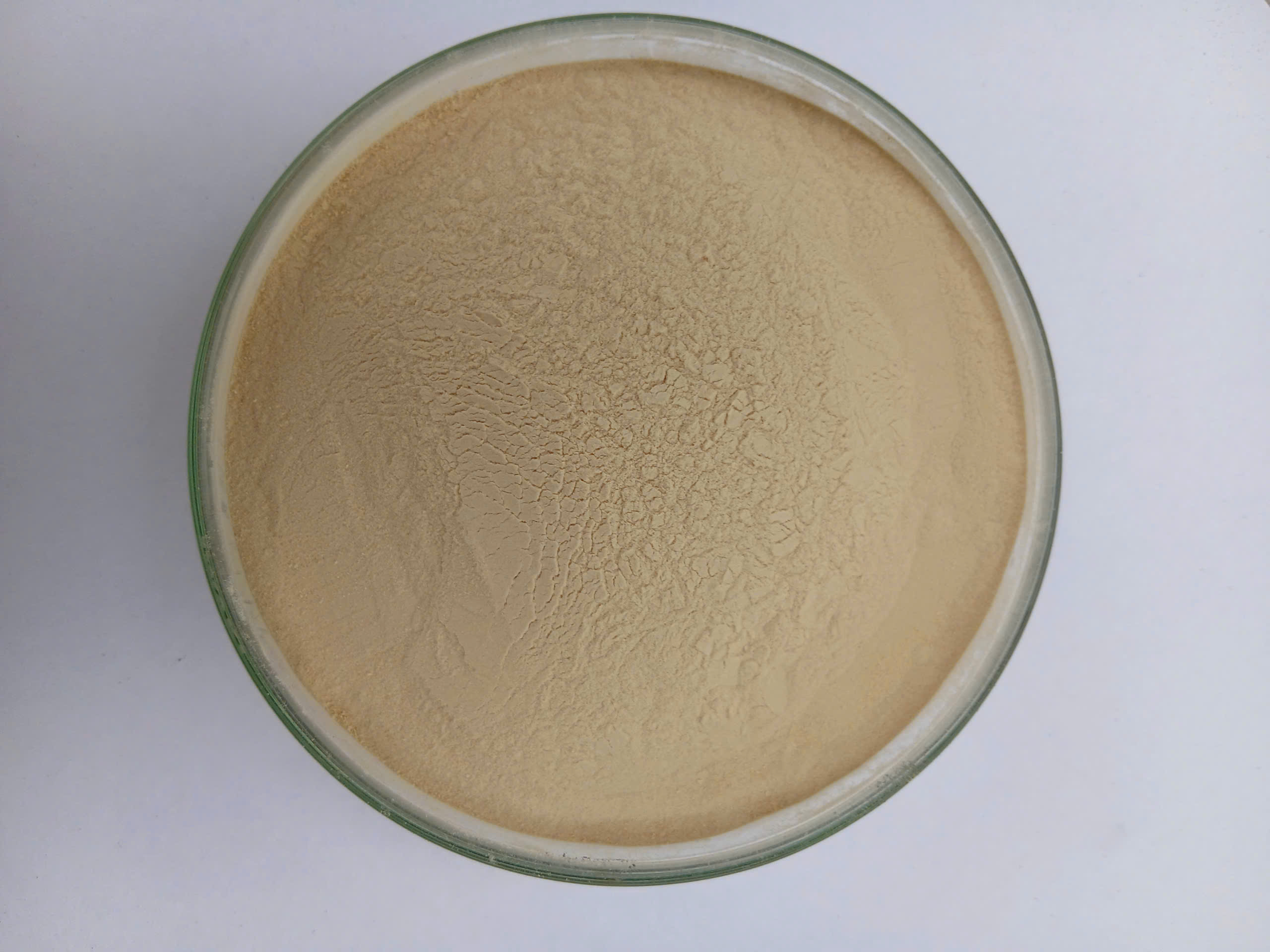 BETA GLUCAN - YEAST CELL WALL