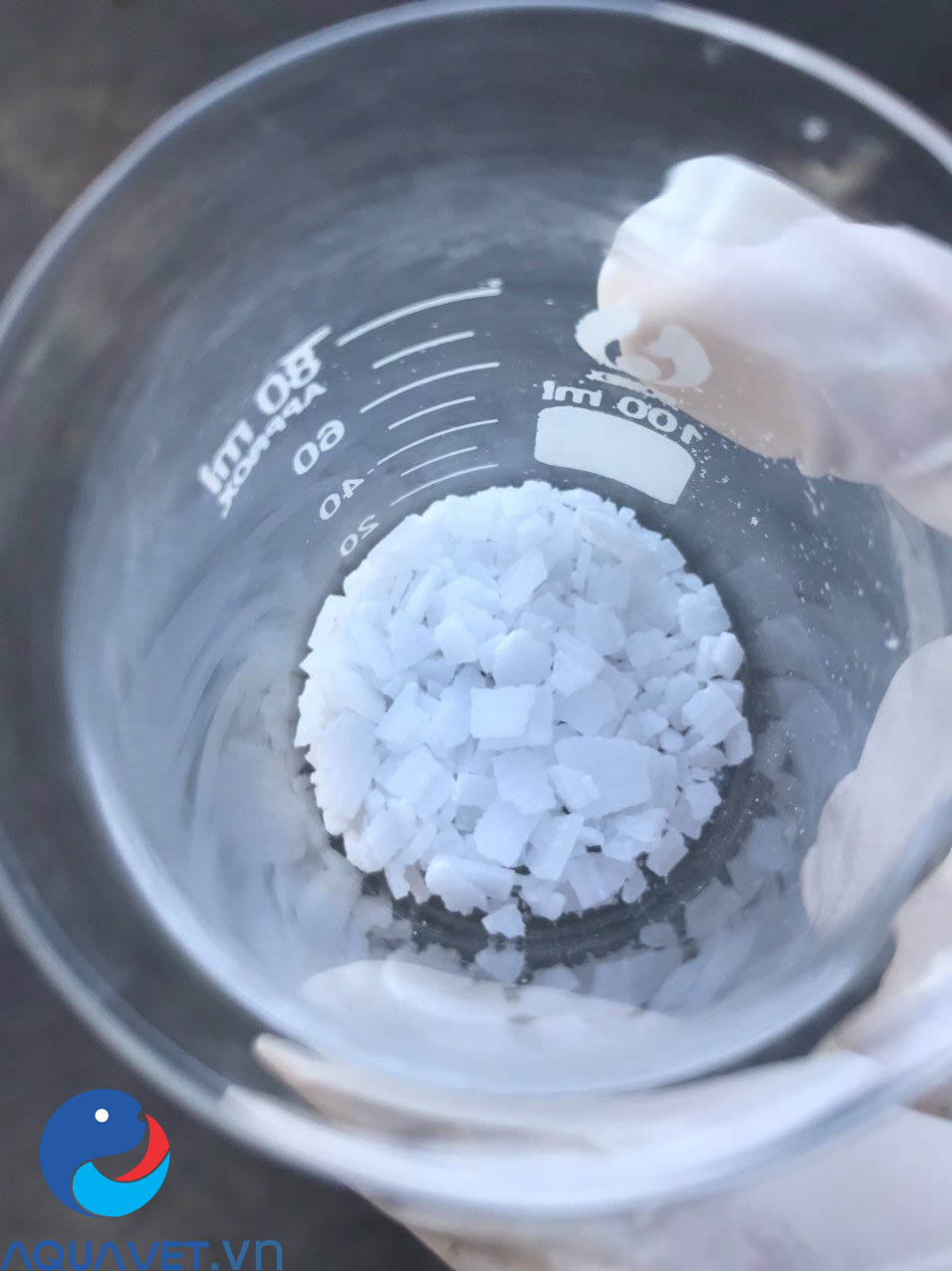 caustic soda flakes