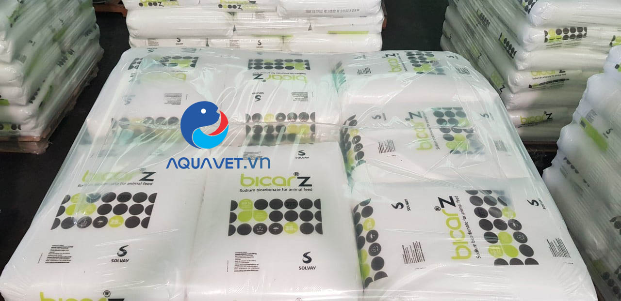 BicarZ Sodium Bicarbonate