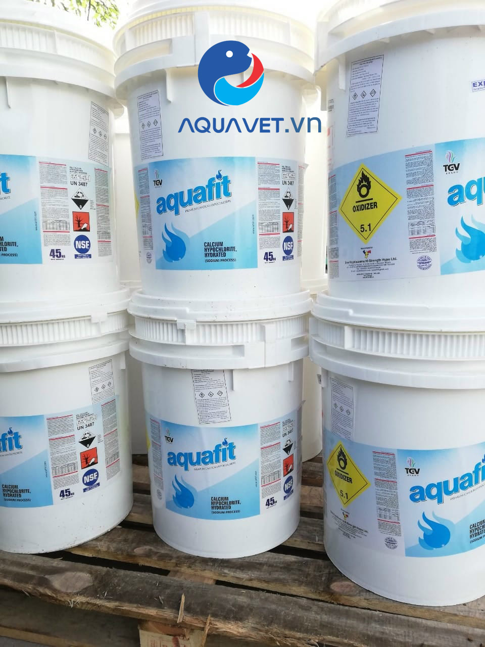 Clorin Aquafit 70% | Hóa chất chlorine xử lý nước