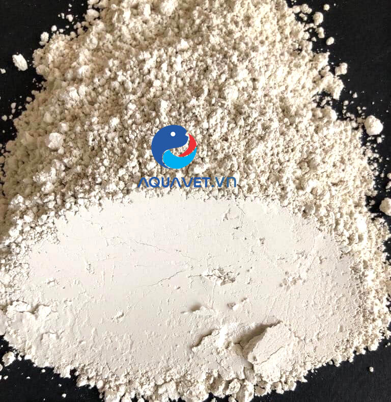 khoáng đa vi lượng hải sản