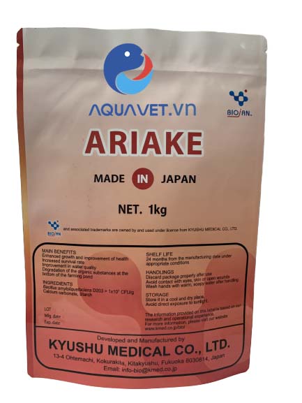 men vi sinh ariake